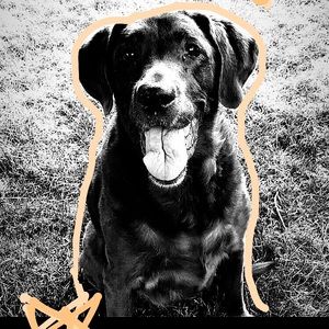 Meet your Posher, Ella